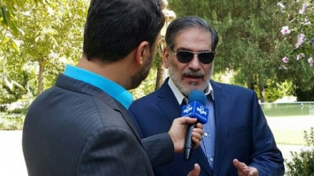 シャムハーニー書記、「イランは核合意での自国の不利益に適切に反応」