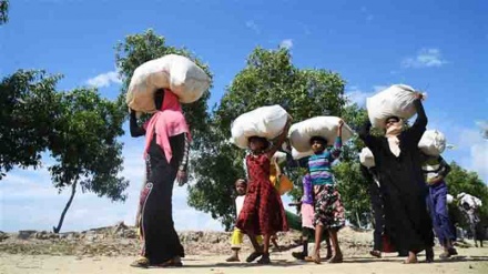 Myanmar replaces general amid new reports of crimes against Rohingya Muslims