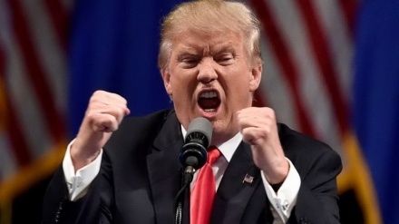 Стратегия Трампа против СВПД - новая арена столкновений Европы с США