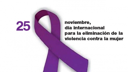 Con motivo del Día Internacional de la Eliminación de la Violencia contra la Mujer