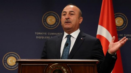 Kurdish militants aim to capture Syrian region, not fighting Daesh: Turkish FM 