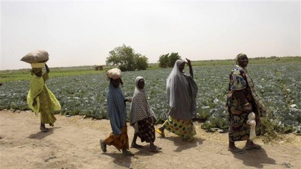 Six farmers killed in Boko Haram attack in NE Nigeria