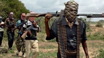 Vita dhidi ya Boko Haram vyazidi kuungwa mkono nchni Nigeria