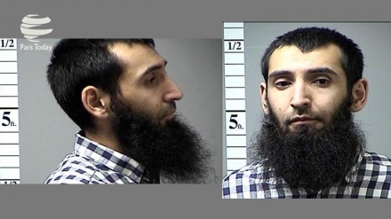 纽约的恐怖事件及其后果