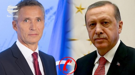 НАТО бош котиби Туркия президентидан узр сўради