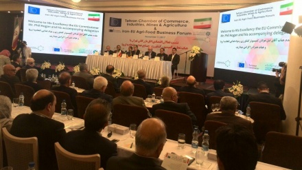 Funksionarët e lartë evropianë dhe aktivistët ekonomikë iranian zhvilluan një takim në dhomën ekonomike të Teheranit