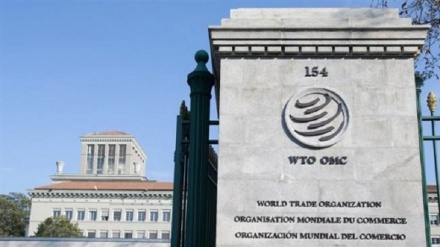 WTO forms panel to hear Qatar’s complaint against UAE