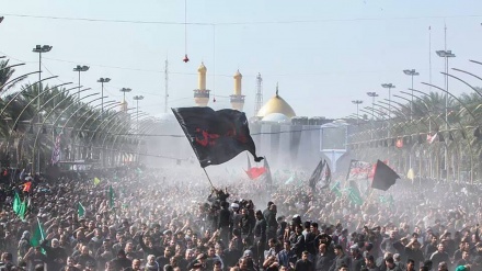 World’s largest-longest mass walk gathering momentum in Iraq