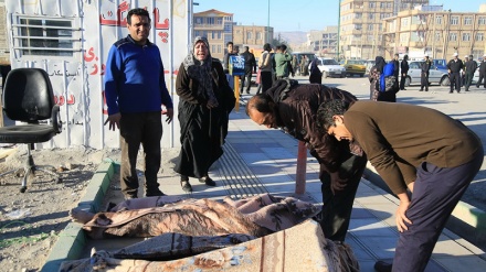 Forte sisma in Iran e Iraq: bilancio vittime sale 435 morti e circa 8000 feriti