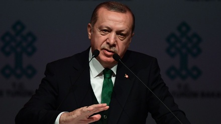 埃尔多安批评美国军事干涉地区事务