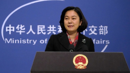 北京敦促巴黎保障在法中国公民的安全