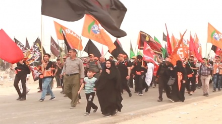 Reasons behind their journey (02)