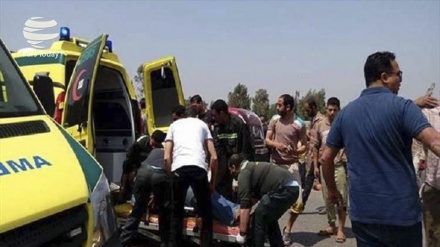 Mısır'da terör cinayetine tepki ve kınama