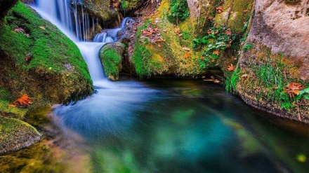 ファールス州ボスターナク渓谷