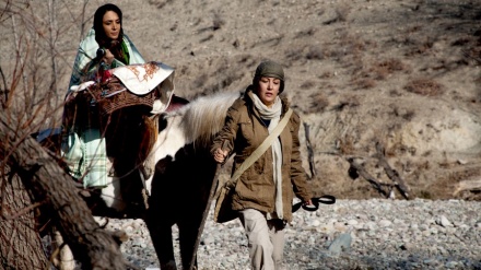 地中海映画祭で、イラン映画が3つの賞を受賞