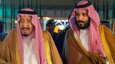 沙特边防军对萨勒曼国王及其儿子采取的政策提出批评