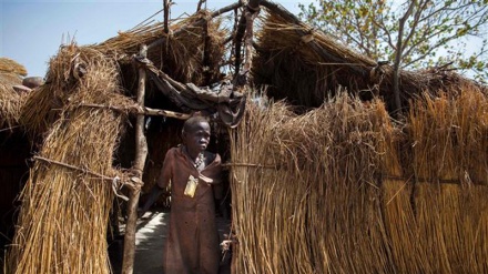 About 50 killed in South Sudan tribal clashes