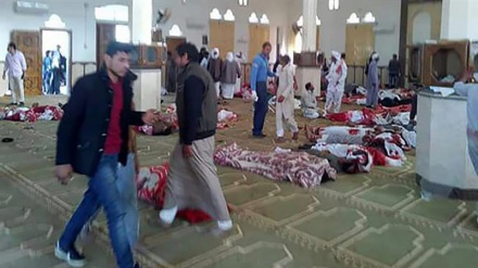 Lübnan Hizbullah'ı: Mısır'daki terör eylemi Vahhabilerin tekfiri düşüncelerinin sonucu