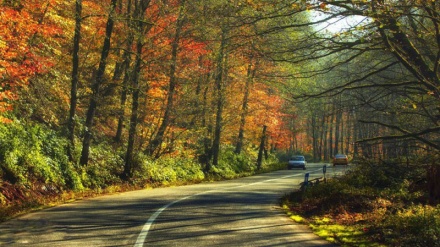 七色の秋；北部ギーラーン州のアーサーレム～ハルハール街道