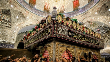 इमाम हुसैन का चेहलुम, कर्बला में श्रद्धालुओं का जनसैलाब