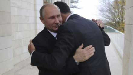 Путин ва Башор Асад Сочида учрашди.(СУРАТЛАР) 