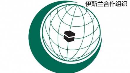 伊斯兰合作组织对特朗普发出警告