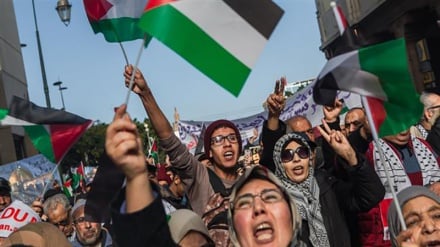 Cisgiordania e Gerusalemme: 99 Palestinesi tra feriti e asfissiati