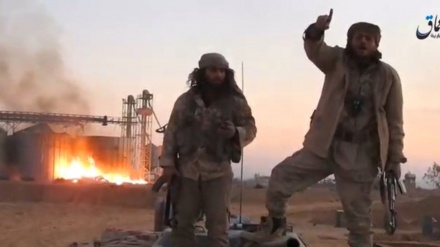 Suriyə tojə hakimon hərbiyə ğıvvonədə terroristonku istifodə kardedən