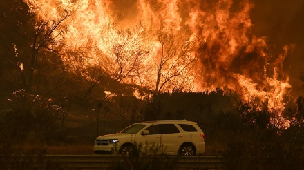 Zjarret evakuojnë me mijëra persona në Amerikë
