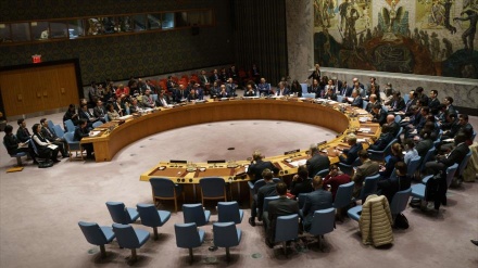 China y Rusia vetan resolución del Consejo de Seguridad sobre alto el fuego en Idlib
