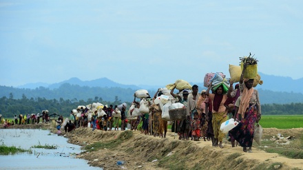 Krimet kundër myslimanëve Rohingya, shembull i gjenocidit