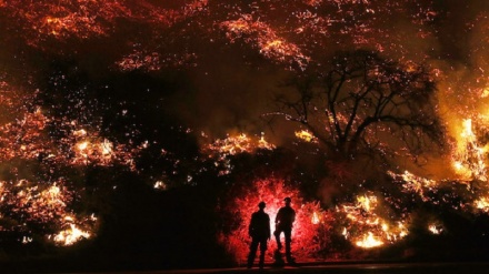 Portogallo, venti feriti negli incendi, 1.800 pompieri all'opera