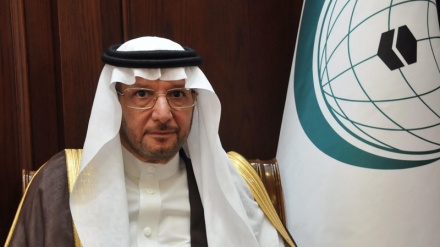 OIC-Generalsekretär fordert die Welt zur Anerkennung des palästinensischen Staates auf