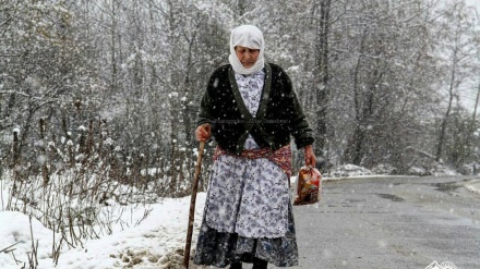 De tolışon.10/3/2018