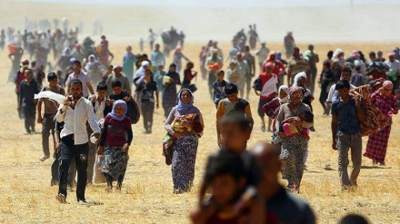 Serbia: violenza sistematica sui rifugiati