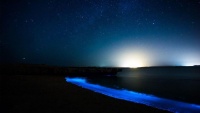 ヘンガーム島