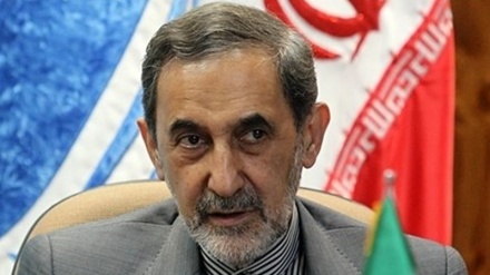 Велаяти: европейцам не следует двигаться по американскому проекту, заранее обреченному на поражение