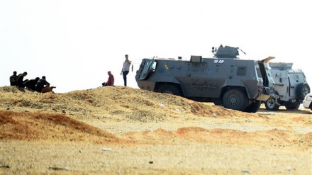 Nine militants killed, 9 arrested in Egypt raids