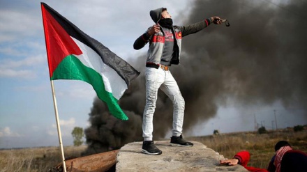 Palestinalylar basybalyjy sionist režimine garşy göreşlerini dowam edýärler