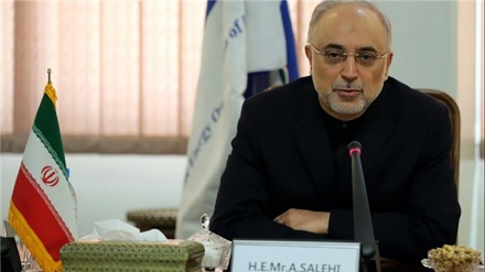 AEOI chief: JCPOA enhancing NPT