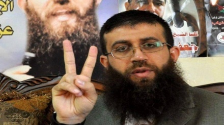 آزاده فلسطینی: ایران حامی اصلی در مقابله با رژیم صهیونیستی است