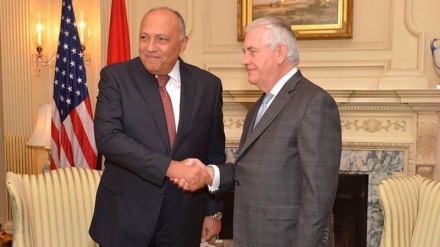 Mısır'dan Türkiye'nin Afrin operasyonuna tepki