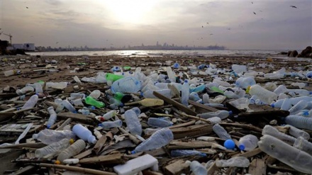 UN expert warns millions suffering in deadly pollution ‘sacrifice zones’ 