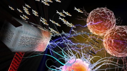 Il gene Thor, un ‘martello’ per aggredire il cancro