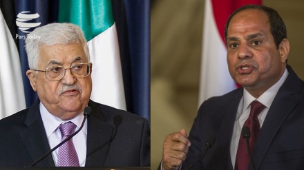 塞西和马哈茂德·阿巴斯就特朗普关于古都斯做出决定的后果发出警告