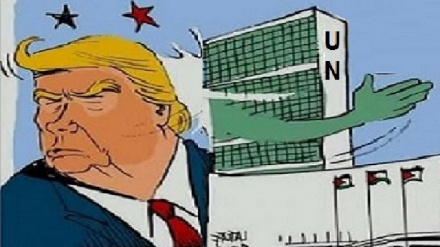 Risoluzioni del Consiglio di Sicurezza, lo schiaffo dell’ONU a Trump