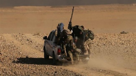 Les Hachd frappent Daech à la frontière 