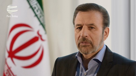 Vaizi: İran hiçbir şekilde Afganistan içişlerine müdahale etmeyecek