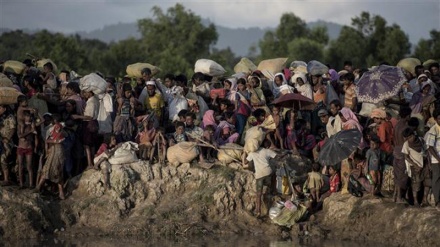 Myanmar troops involved in killing Rohingya Muslims, army admits