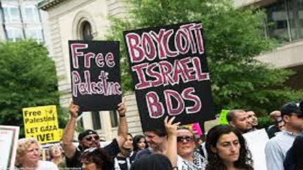 ישראל מנעה מפעילה בארגון שתומך בחרם ה-BDS להיכנס